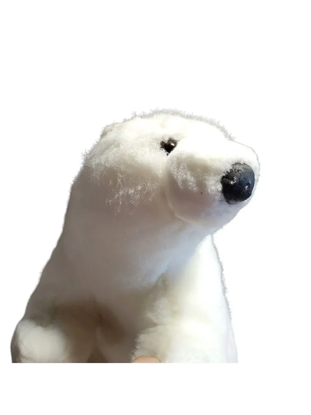 Seaworld his version bear